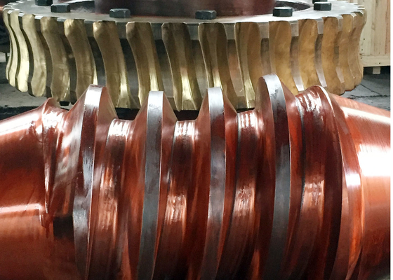 OEM ZCuAl10Fe3 Worm Shaft e Worm Gear Set su misura per applicazioni ad alte prestazioni