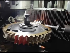 OEM ZCuAl10Fe3 Worm Shaft e Worm Gear Set 15 Modulo