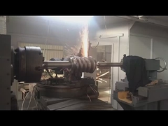 395 mm di diametro di punta tra l'albero del verme e l'attrezzatura del verme con un peso di 0,2 kg